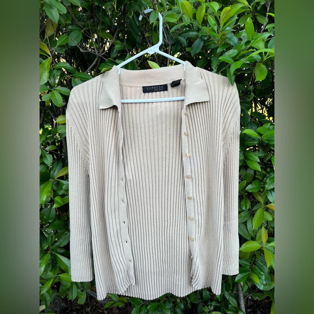 EXPRESS COLLARED BUTTON SWEATER